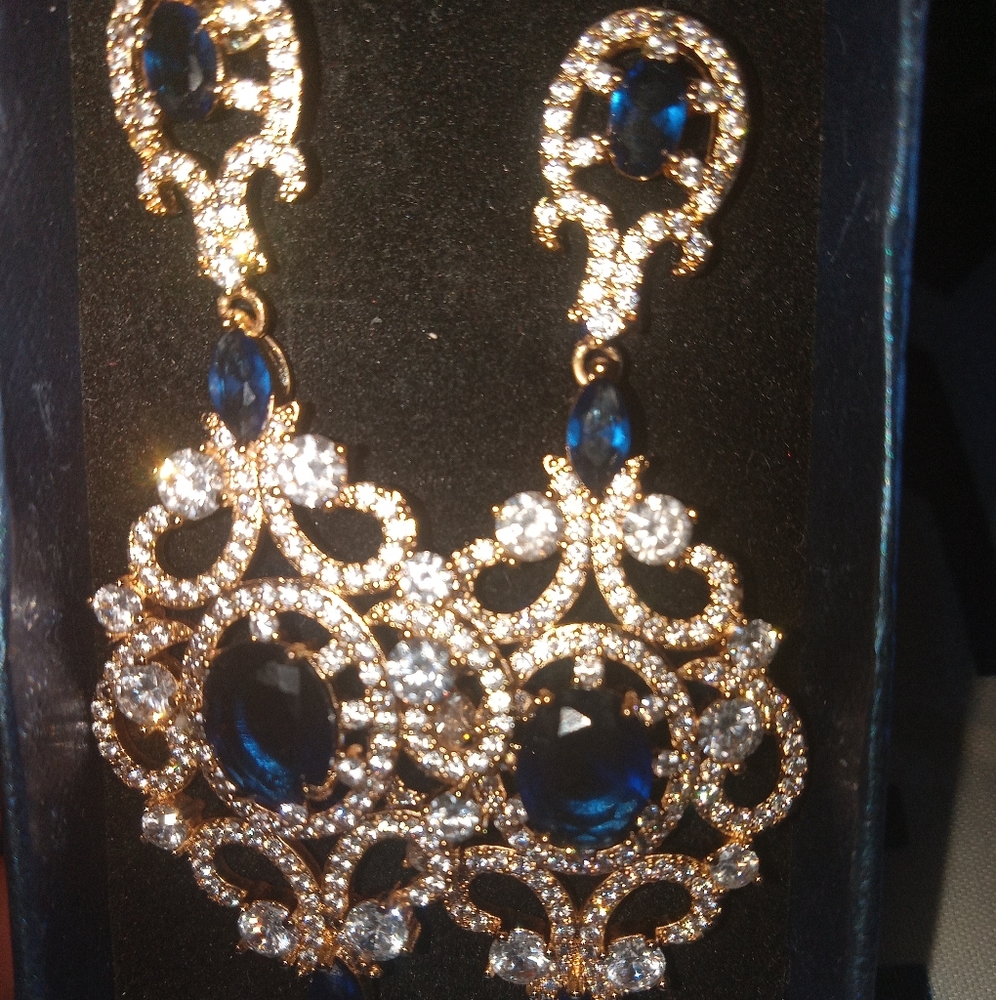 1 pr earrings